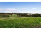 298 Old Mount Barker Road, Mount Barker SA 5251