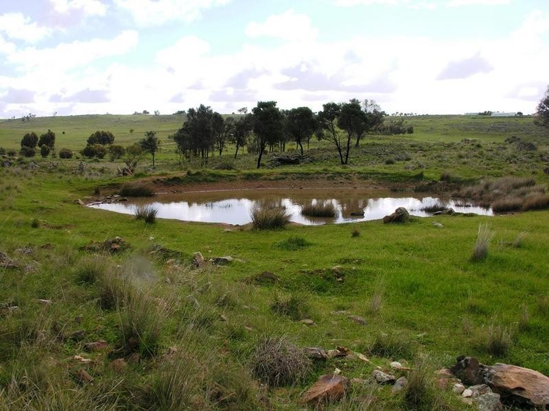 Lot 62 Gogel Road, Monarto SA 5254