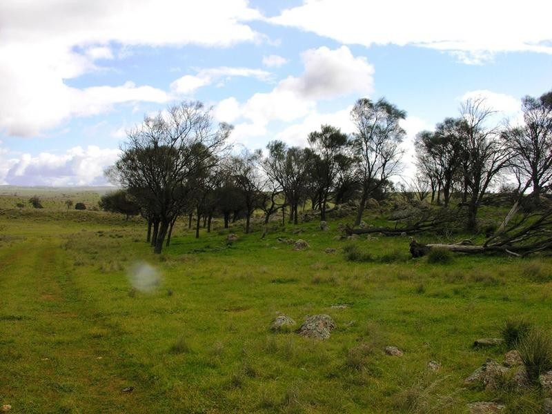 Lot 62 Gogel Road, Monarto SA 5254