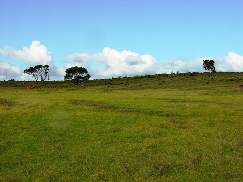 Lot 62 Gogel Road, Monarto SA 5254