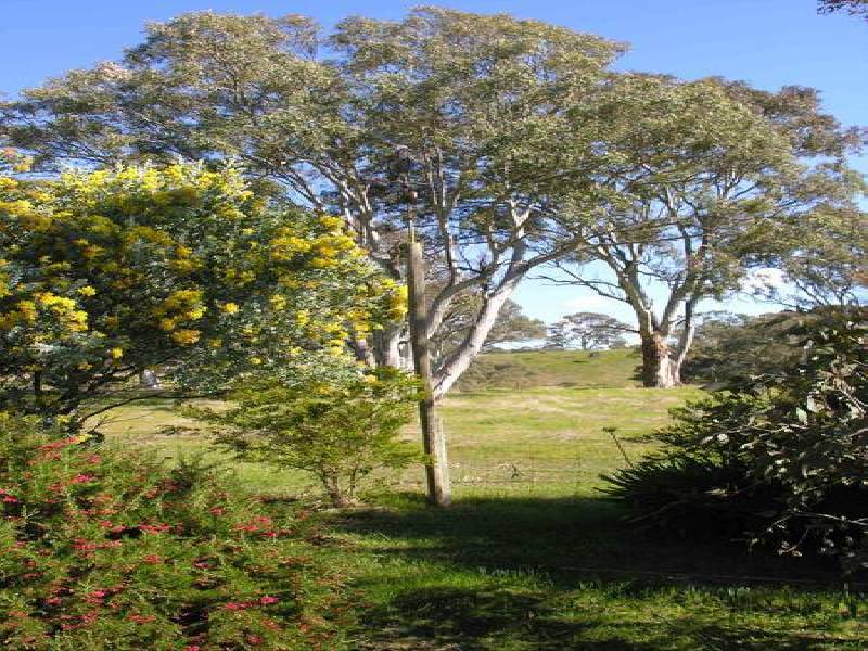 Lot 42 Sawpit Gully Road, Nairne SA 5252