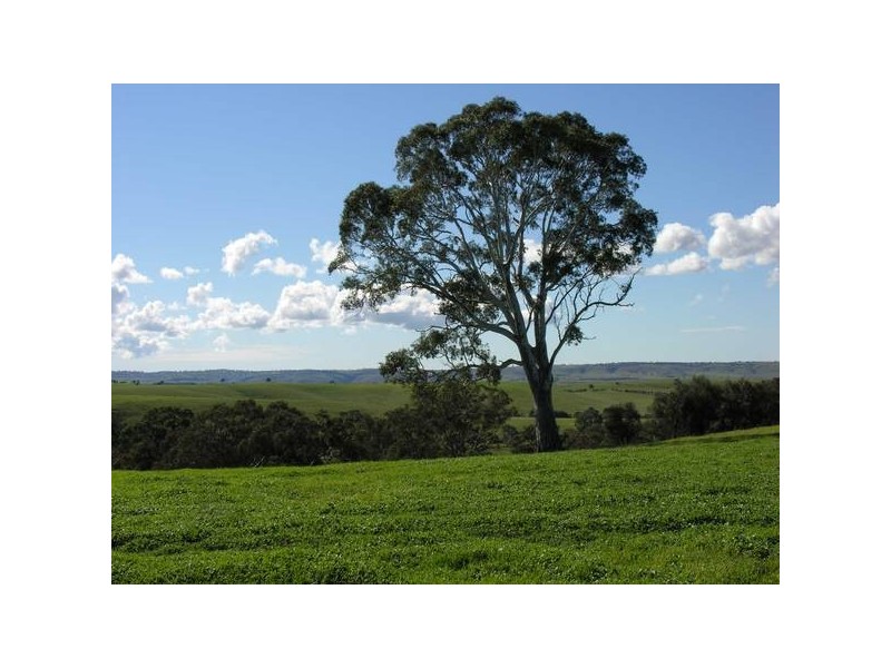 Lot 42 Sawpit Gully Road, Nairne SA 5252