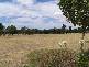 Lot 401 Abbotts Lane, Strathalbyn SA 5255