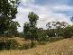 Lot 401 Abbotts Lane, Strathalbyn SA 5255