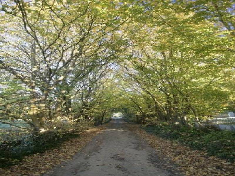 8 & 14 CLOVER WAY, Nairne SA 5252