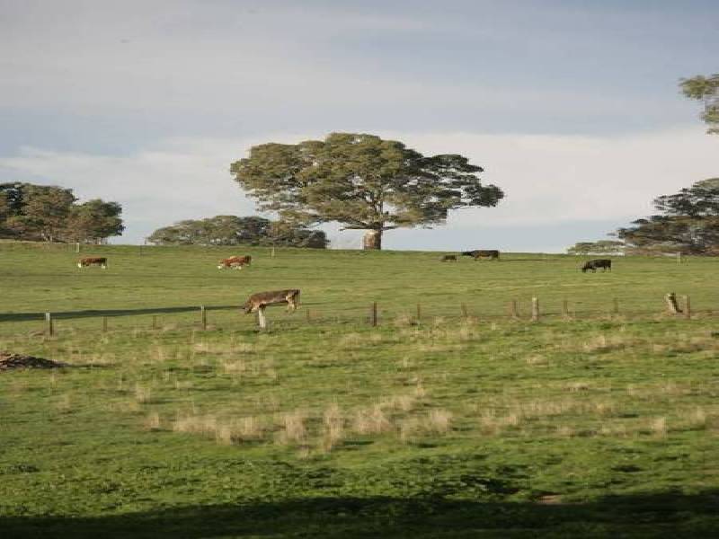 8 & 14 CLOVER WAY, Nairne SA 5252