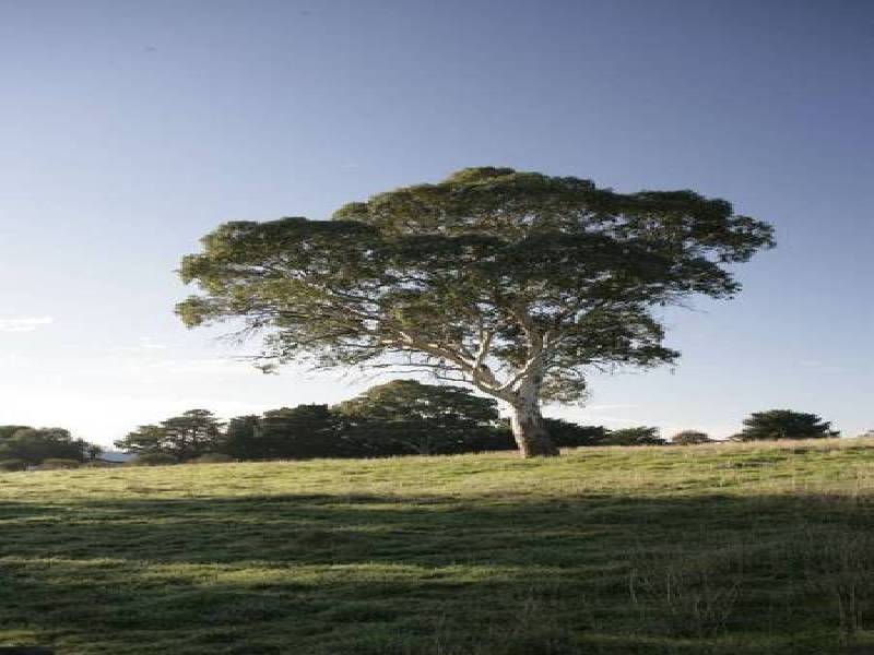 8 & 14 CLOVER WAY, Nairne SA 5252