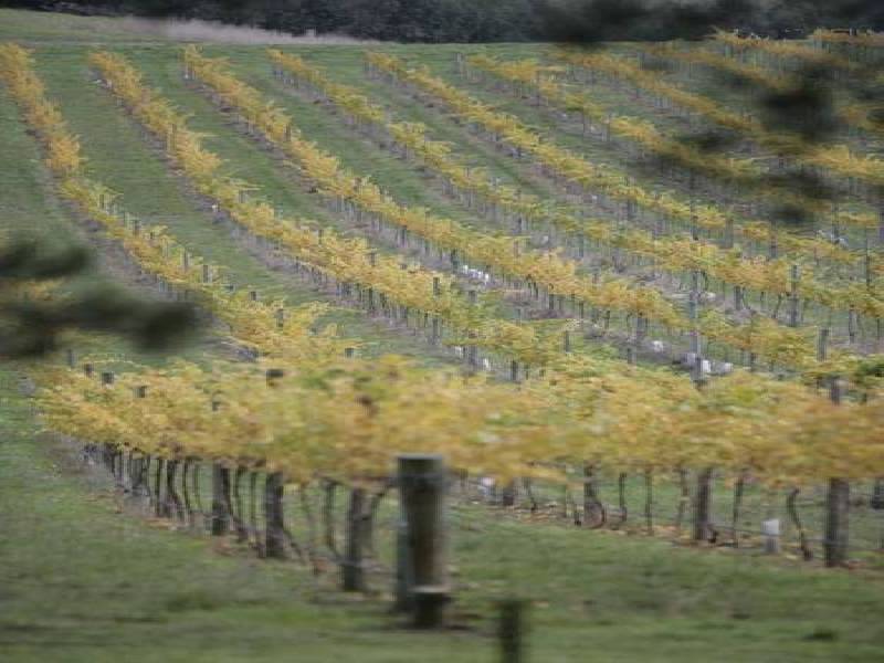 8 & 14 CLOVER WAY, Nairne SA 5252