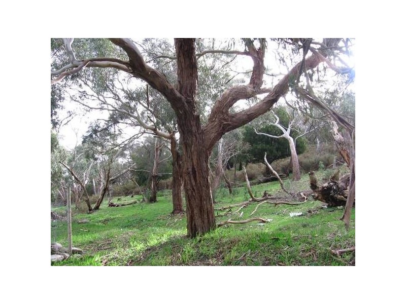 8 Lisa Court, Macclesfield SA 5153