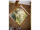 Scrubby Hill Road, Wistow SA 5251