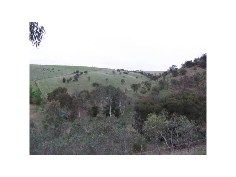 Scrubby Hill Road, Wistow SA 5251