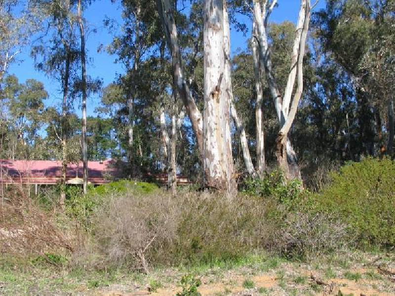 3/18 Bernhardt Crescent, Hahndorf SA 5245