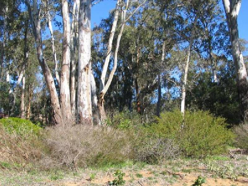 3/18 Bernhardt Crescent, Hahndorf SA 5245