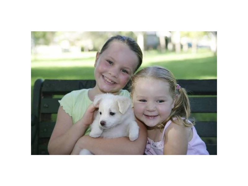 Henry Road, Littlehampton SA 5250