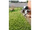 Power Court, Mount Barker SA 5251