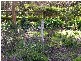 12 Hawthorn Street, Dawesley SA 5252