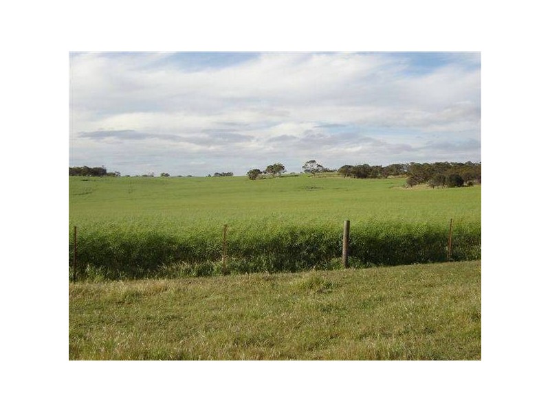 25 Burwood Road, Mount Barker SA 5251