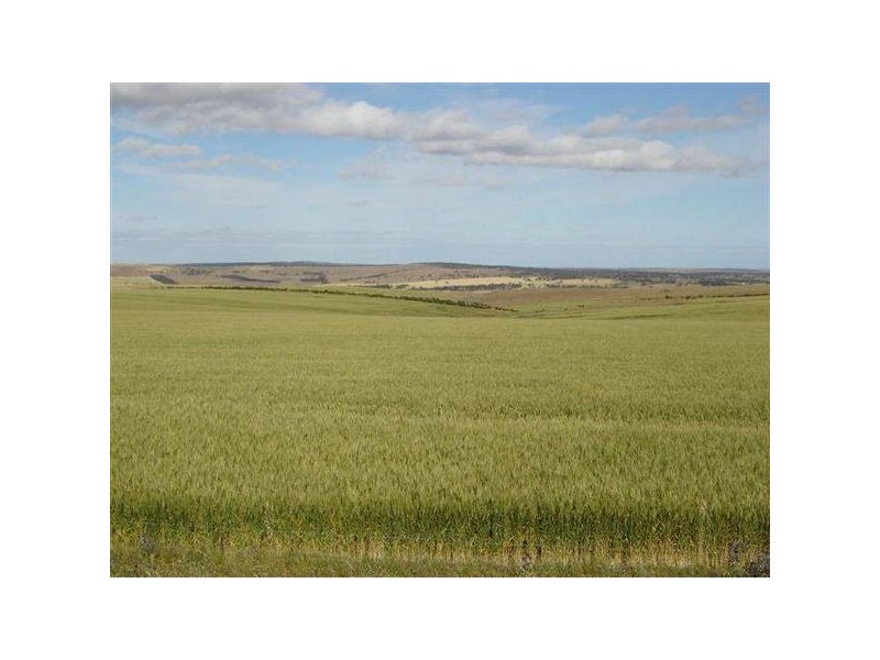 25 Burwood Road, Mount Barker SA 5251