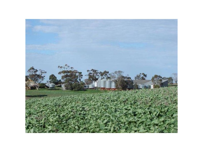 25 Burwood Road, Mount Barker SA 5251