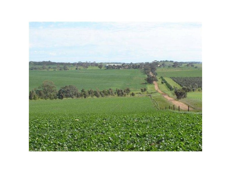 25 Burwood Road, Mount Barker SA 5251