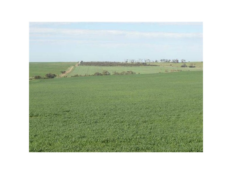 25 Burwood Road, Mount Barker SA 5251