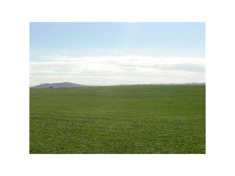 25 Burwood Road, Mount Barker SA 5251