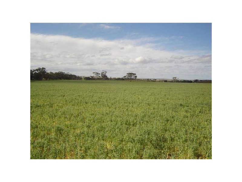 . Callington Road, Woodchester SA 5255