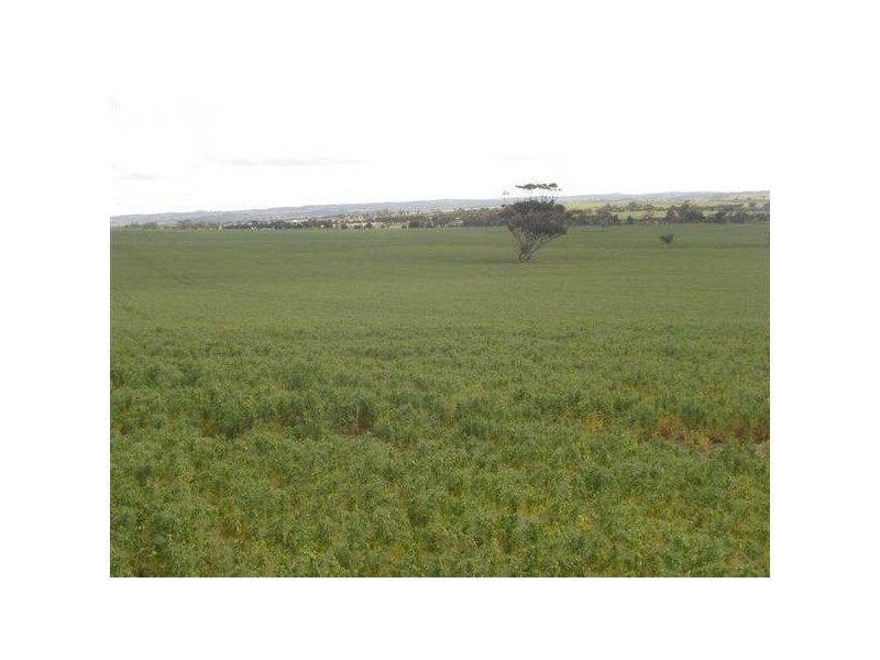 . Callington Road, Woodchester SA 5255