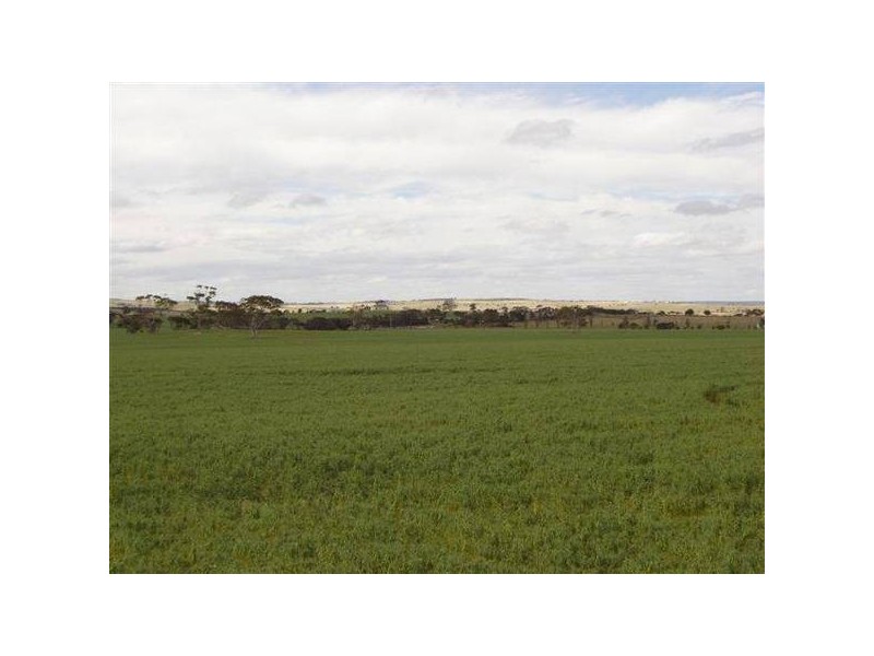 . Callington Road, Woodchester SA 5255