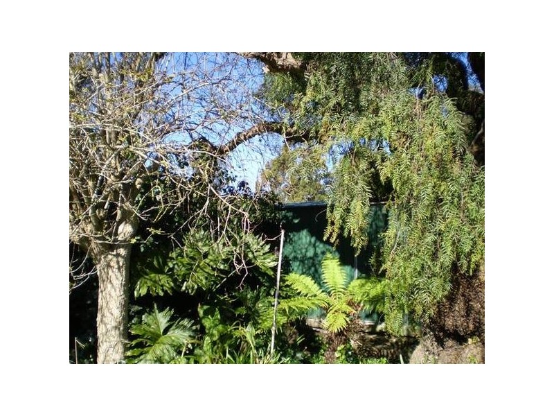 3 Edinborough Street, Nairne SA 5252