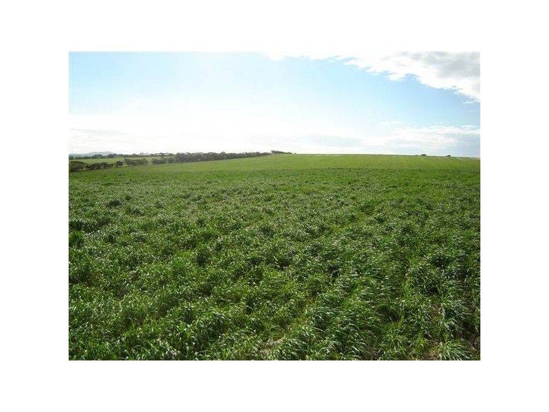 Chaunceys Line Road, Hartley SA 5255