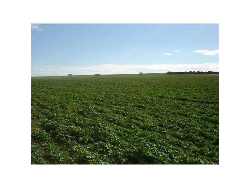 Chaunceys Line Road, Hartley SA 5255