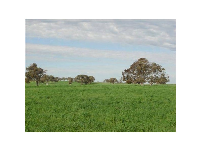 Chaunceys Line Road, Hartley SA 5255