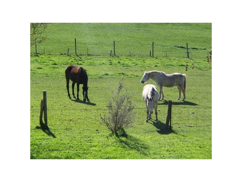 10 Hereford Avenue, Hahndorf SA 5245