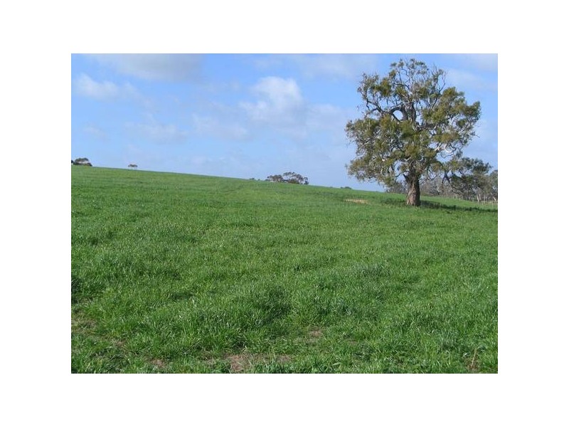 Long Valley Road, Strathalbyn SA 5255