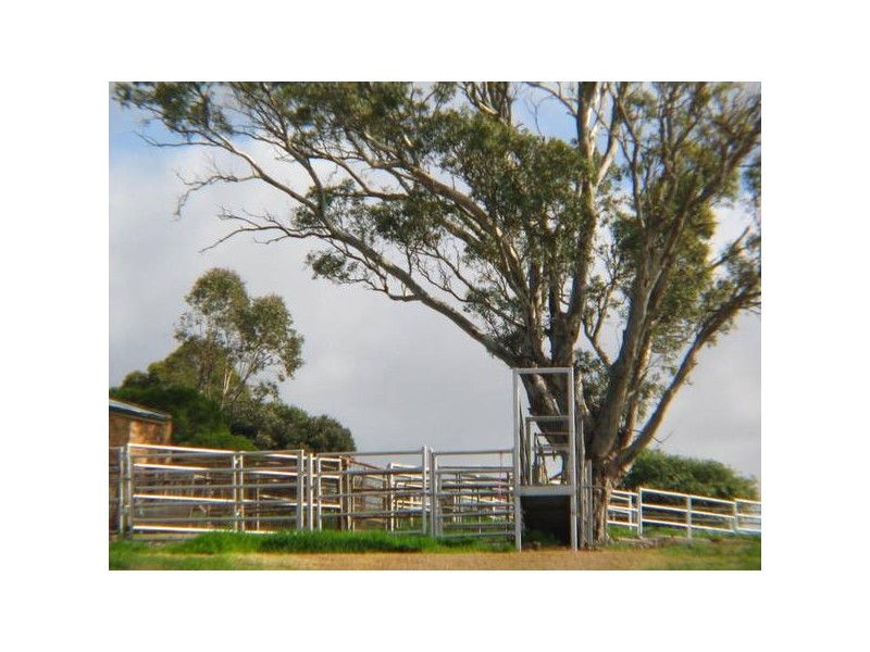Long Valley Road, Strathalbyn SA 5255