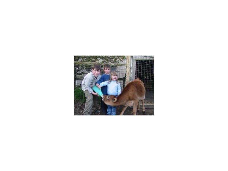 Lot 100 Mount Barker Road, Hahndorf SA 5245