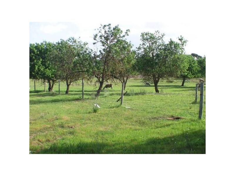 Lot 1 Bletchley Road, Strathalbyn SA 5255