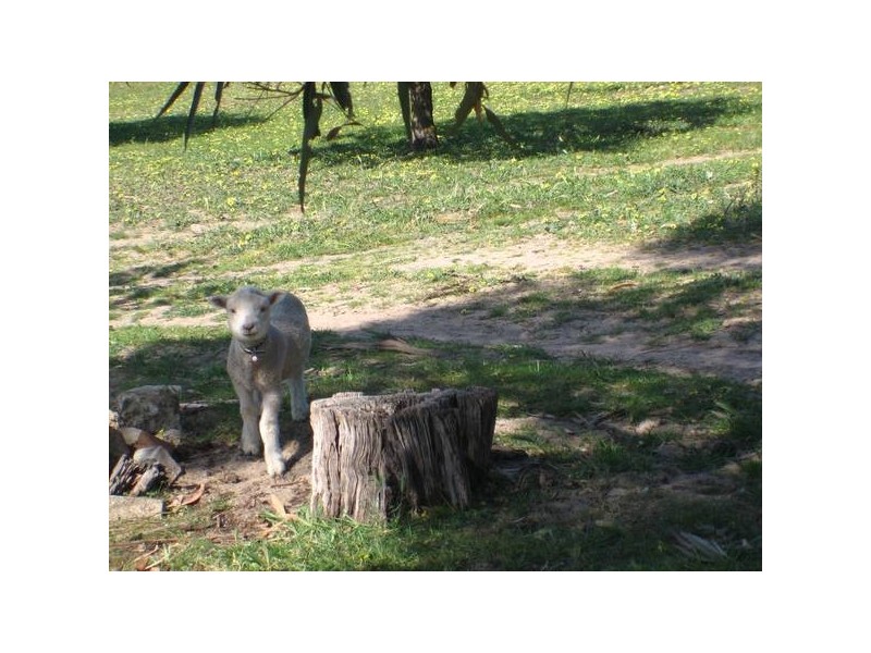 Lot 1 Bletchley Road, Strathalbyn SA 5255