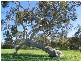 Lot 2 Long Valley Road, Gemmells SA 5255