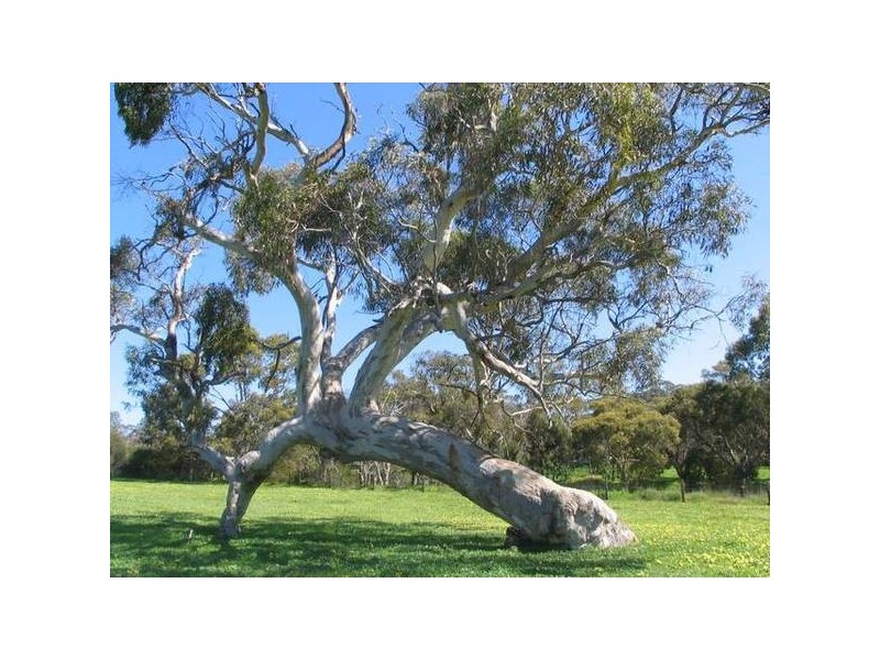 Lot 2 Long Valley Road, Gemmells SA 5255