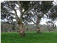 Lot 2 Long Valley Road, Gemmells SA 5255