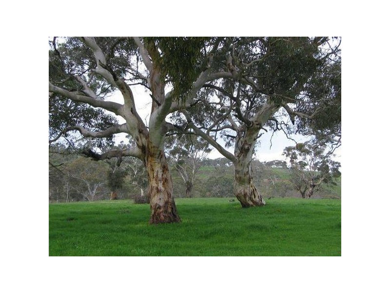 Lot 2 Long Valley Road, Gemmells SA 5255