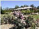 Lot 1 Nitschke Road, Littlehampton SA 5250