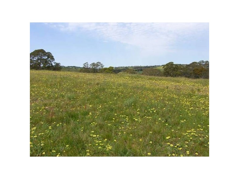 Lot 902 Thornbill Drive, Mount Barker SA 5251