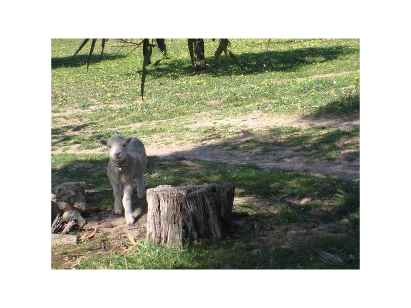 Lot 1 Bletchley Road, Strathalbyn SA 5255