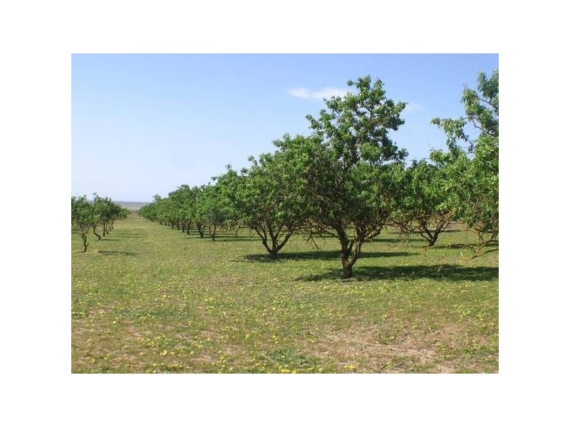 Lot 1 Bletchley Road, Strathalbyn SA 5255