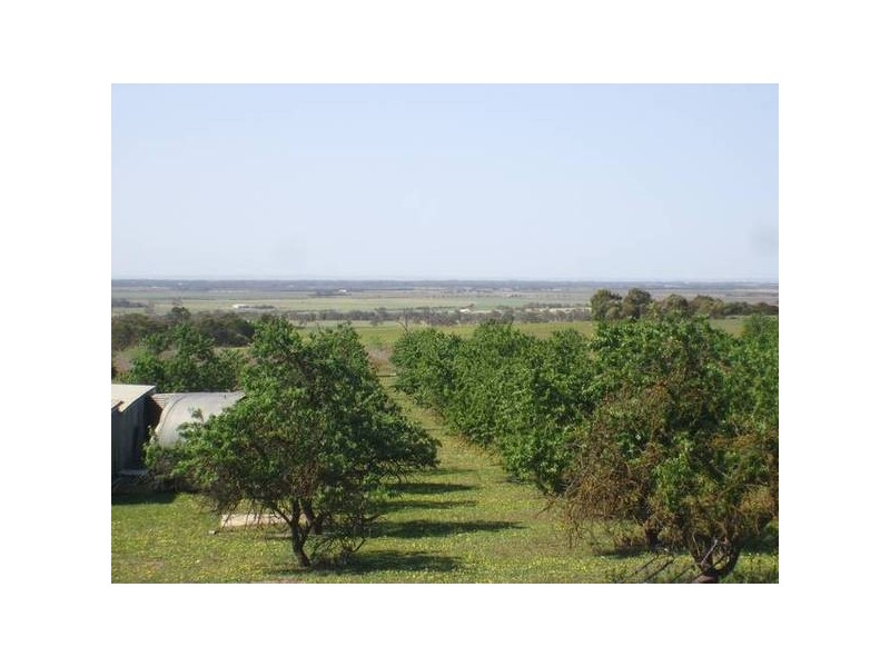 Lot 1 Bletchley Road, Strathalbyn SA 5255