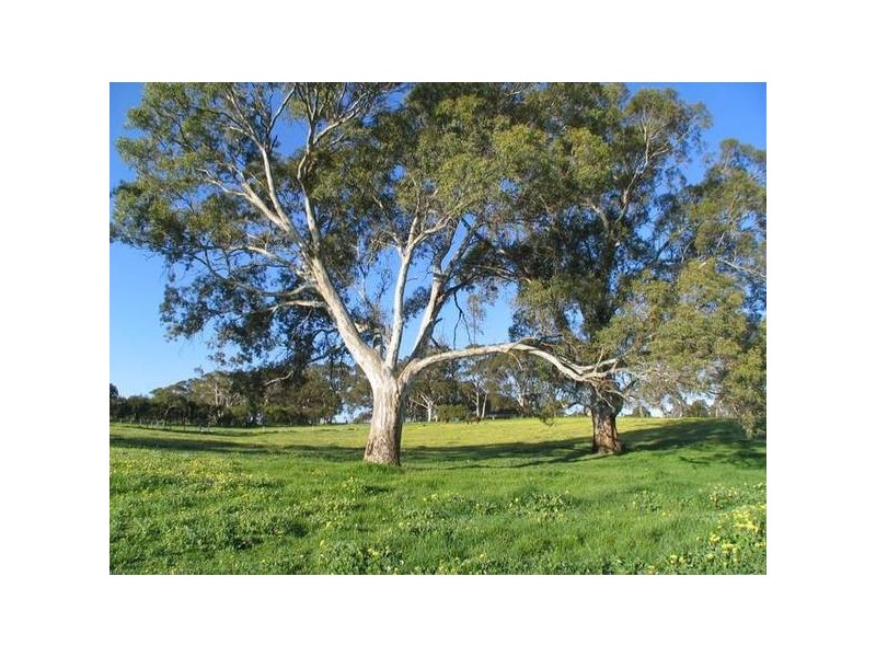 Lot 16 Bonython Road, Macclesfield SA 5153