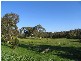 Lot 16 Bonython Road, Macclesfield SA 5153
